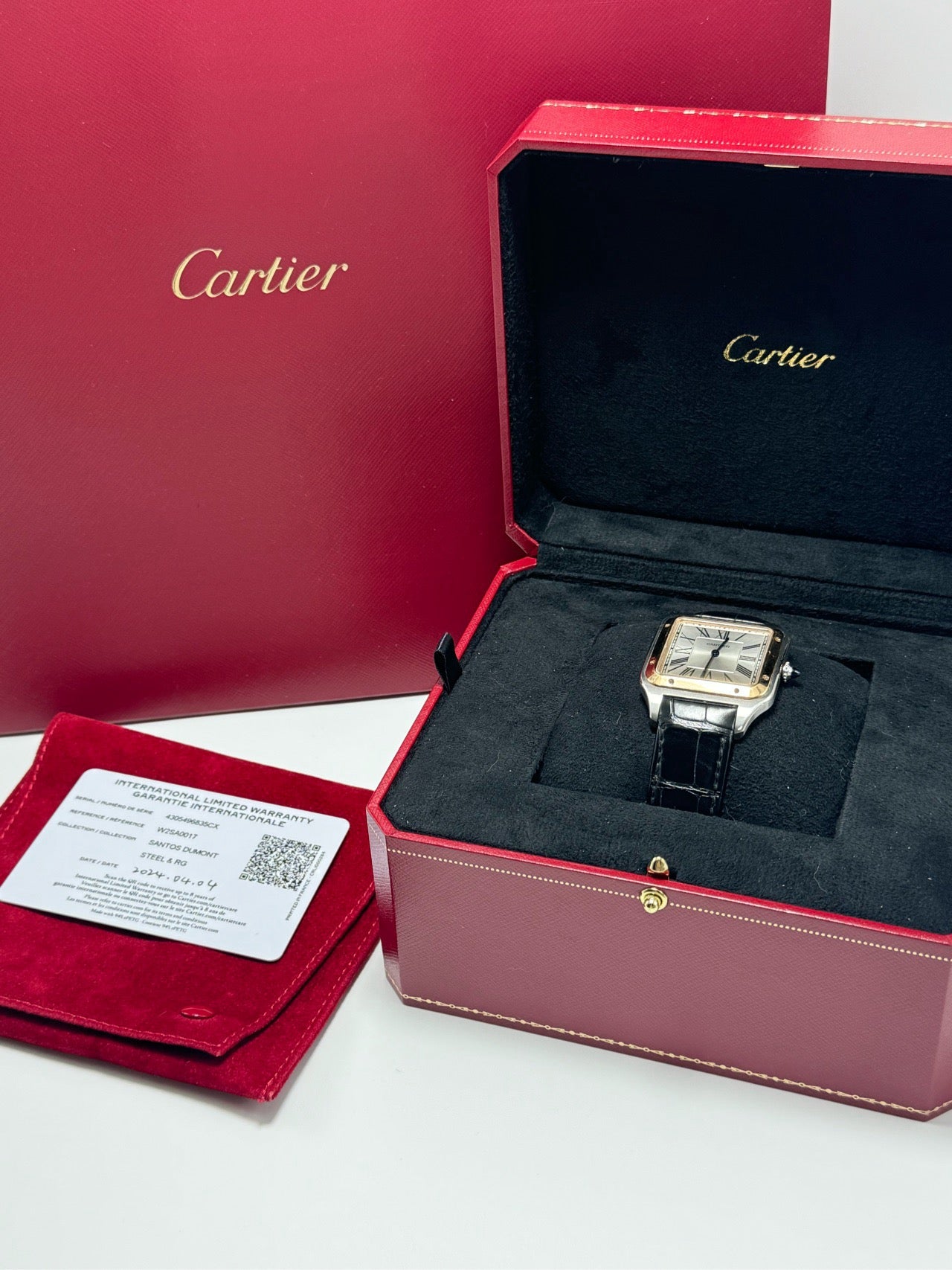 CARTIER W2SA0017