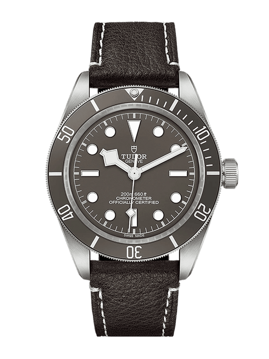 TUDOR  79010SG-0001