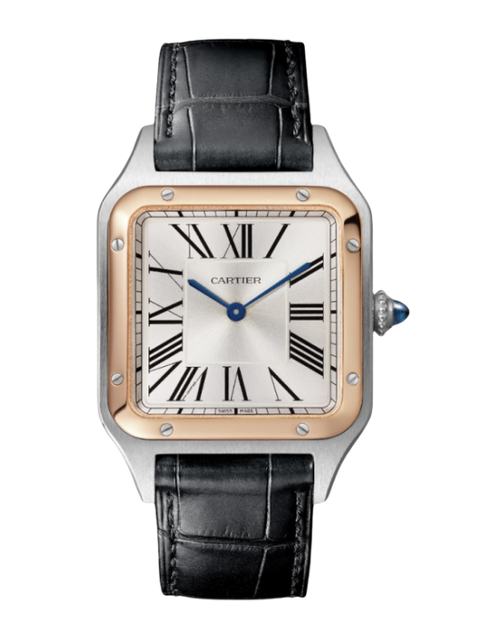 CARTIER W2SA0011