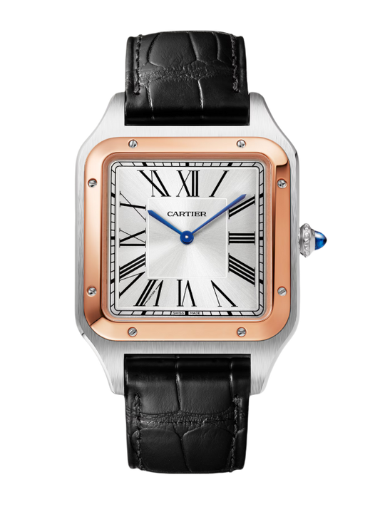 CARTIER W2SA0017